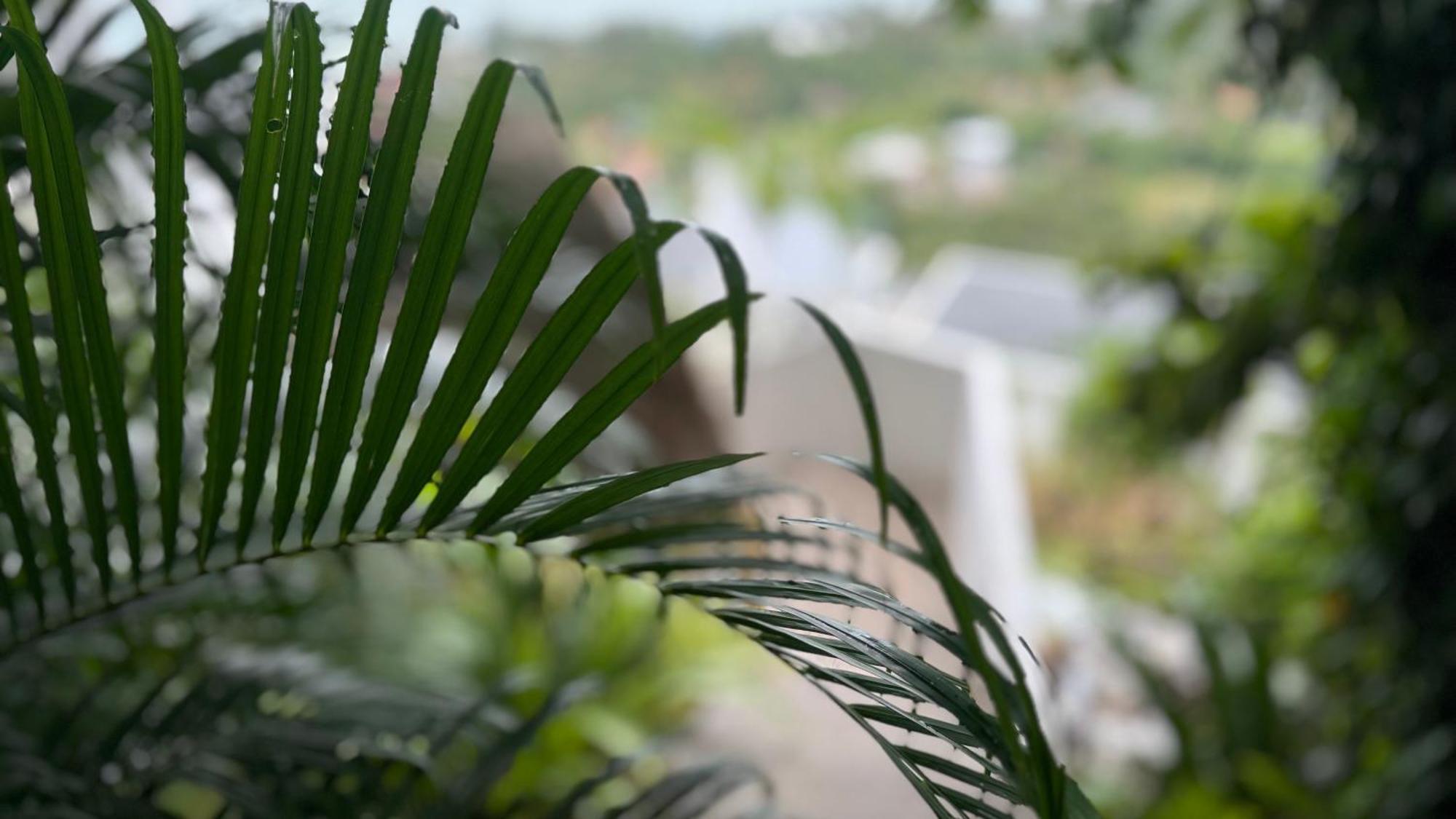 Anzhu Seamate Villa Samui Amphoe Koksamui Exterior foto